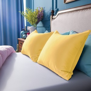 2 Pack Satin Pillowcases, Skin-Friendly Luxury Pillow Cases with Hidden Zipper - NTBAY - 1 of 4
