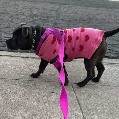 Smiley Face Dog Graphic Sweatshirt - Xl - Boots & Barkley™ : Target