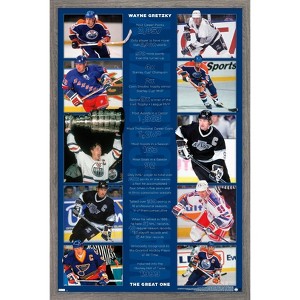 Trends International Wayne Gretzky - Stats Framed Wall Poster Prints - 1 of 4