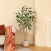 DR.Planzen 5-7FT Artiicial Ficus Tree with Round White Planter, Pre Potted Faux Plant for Indoor Home Decor - 2 of 4