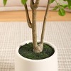 DR.Planzen 5-7FT Artificial Ficus Tree with Small Leaves in White Pot - Pre Potted Faux Tree for Indoor Home Decor - 3 of 4
