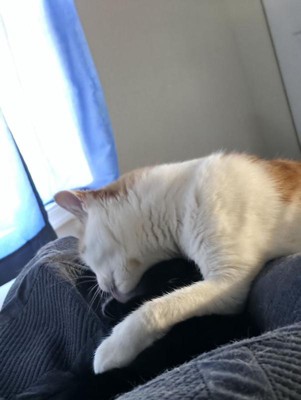 Guest review image 1 of 1, zoom in