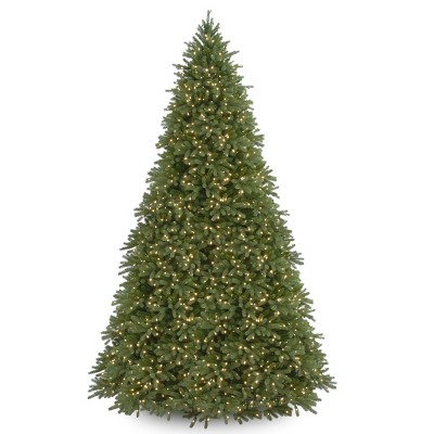 National Tree Company 12ft Jersey Fraser Fir Tree with Clear Lights