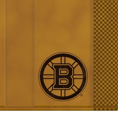boston bruins