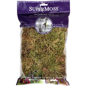 SuperMoss Forest Dried Decorative Moss for Potted Plants, Natural Green, 2.2oz - 1 of 3