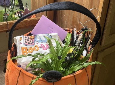 Guest review image 1 of 2, zoom in