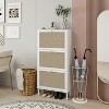 Bella Depot 3 Door Shoe Rattan Shoe Storage Cabinet - 2 of 4