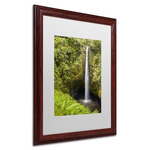 Trademark Fine Art -Chris Moyer 'Akaka Falls' Matted Framed Art - 1 of 4
