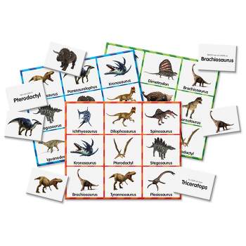 The Learning Journey Match It! Dinosaur Bingo