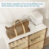 Vynxaria Brown and White Portable Shoe Organizer with Doors and Shelves - 4 of 4