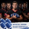 Probe Hues Probe Hues 4-Pack Youth Footballs, Official Size with Pump for Outdoor Play - 2 of 3