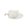 Carved Goat Decorative Accent White Wood & Jute by Foreside Home & Garden - 4 of 4