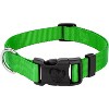 Country Brook Petz Everyday Nylon Dog Collar - 3 of 4