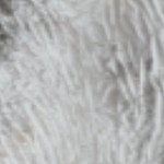 yellow, black, white