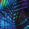 neon palm