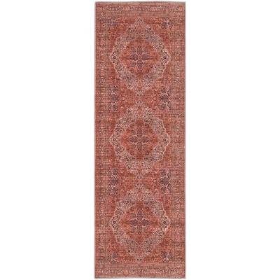 Rawlins Transitional Medallion Red/Tan/Pink Area Rug : Target