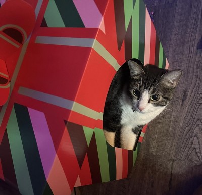 Guest review image 1 of 1, zoom in