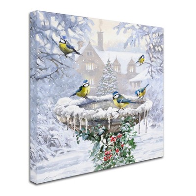 Trademark Fine Art -The Macneil Studio 'Birdbath Flat' Canvas Art