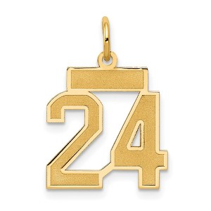Black Bow Jewelry 14k Yellow Gold, Jersey Collection, Small Number 24 Pendant - 1 of 4