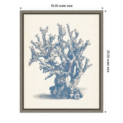 Antique Coral Nautical Lithograph Canvas Print with Greywash Frame