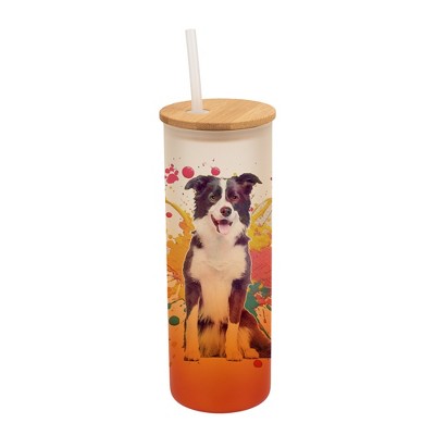 100 North 25 Ounce Frosted Glass Gradient Travel Tumbler With Straw & Wooden Lid, Border Collie Dog Paint Splatter Orange