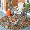 Veranda VER091 Power Loomed Indoor/Outdoor Area Rug  - Safavieh - 2 of 3