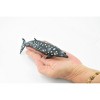 Collectible Wildlife Gifts | Whale, Blainvilles Beaked Whale, Cetacean, Marine Mammal, Museum Quality, Hand Painted Rubber Toy , Gift  7"  CH339 BB134 - 2 of 4