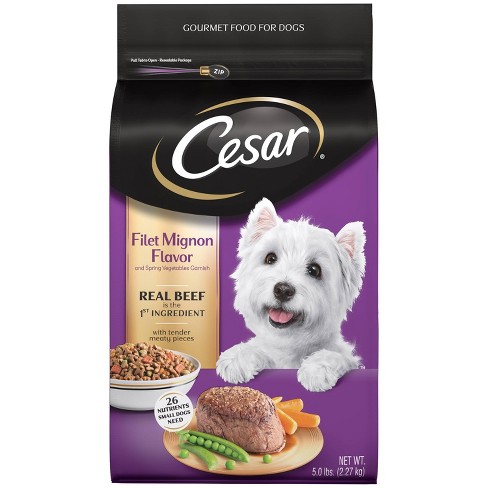 Cesar Filet Mignon Flavor Gourmet Dry Dog Food : Target