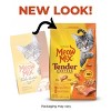 Meow Mix Tender Centers Salmon and Chicken Flavor Dry Cat Food - 4 of 4