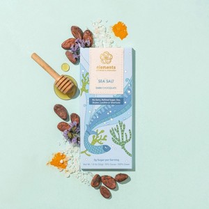 Elements Sea Salt 70% Dark Wellness Chocolate Bar - 1 of 4