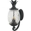 Acclaim Lighting Lanai 2 - Light Wall Light in  Matte Black - 4 of 4
