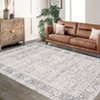 Coolmee Washable Area Rugs Vintage Retro Boho Rug Non Slip Low Pile for Living Room Bedroom Indoor Dining Room  s Room and OfficeGray - 4 of 4