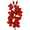 Floral Home 30" Red Cymbidium Stem - 12-Piece - 2 of 2