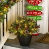 National Tree Company 22" Pre-lit Iced Berry Pine Mini Artificial Pot Filler with White LED Lights: Indoor/Outdoor, Battery-Powered - 4 of 4