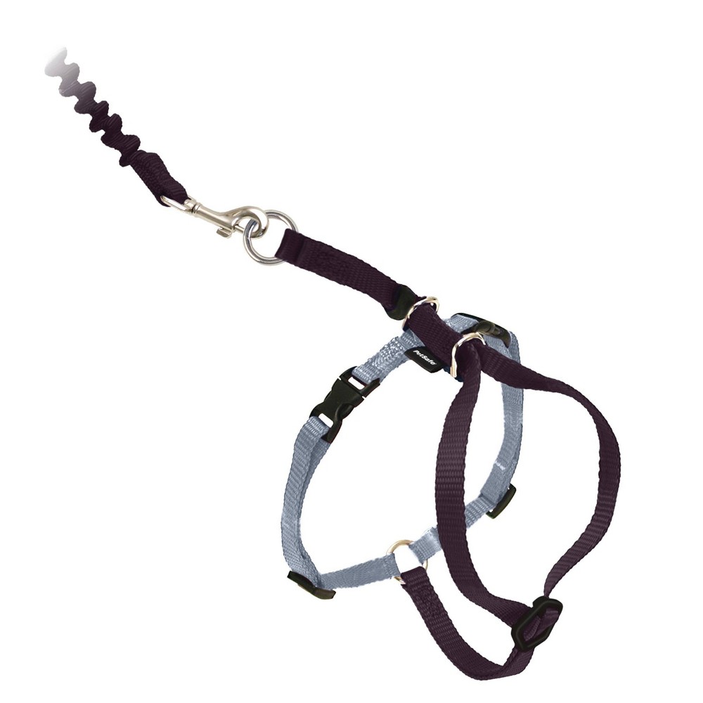 Photos - Collar / Harnesses PetSafe Come with Me Kitty and Bungee Adjustable Leash Cat Harness - M - B 