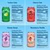 OLIPOP Fruity Fun Variety Pack Prebiotic Soda - 12pk/12 fl oz Cans - 4 of 4