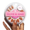 Olive & June Press-On Fake Nails - Squoval Short - Glazed Pumpkin - 42ct - 4 of 4