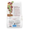Purina Beneful Originals Real Beef Flavor Dry Dog Food - 3 of 4