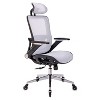 Ergonomic Mesh Office Chair-Adjustable Headrest with Flip-Up Arms, Tilt and lock Function, Lumbar Support and Blade Wheels, Metal legs-The Pop Home - 2 of 4