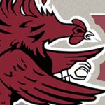 south carolina gamecocks