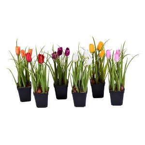 Vickerman 10" Artificial Tulips in Black Plastic Planters Pots, Set of 6. - 1 of 3