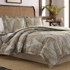 Raffia Palms Comforter Set Brown - Tommy Bahama - 3 of 4