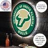 Evergreen Ultra-Thin Edgelight LED Wall Decor, Round, University of South Florida- 23 x 23 Inches Made In USA - 3 of 4