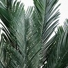 Nearly Natural 5-ft Cycas Tree UV Resistant (Indoor/Outdoor) - 4 of 4
