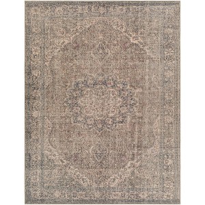 Colin Traditional Machine Washable Rug - Artistic Weavers - 1 of 4