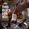 Budweiser Lager Beer - 6pk/12 fl oz Bottles - image 3 of 4