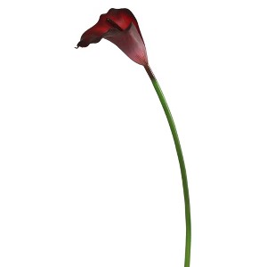 Vickerman Artificial Large Stem Calla Lily - 1 of 1