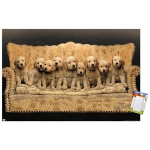Trends International Keith Kimberlin - Puppies - Couch Unframed Wall Poster Prints - 1 of 4