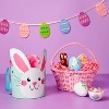 Willow Plastic Wicker Easter Basket - Spritz™ - 2 of 4