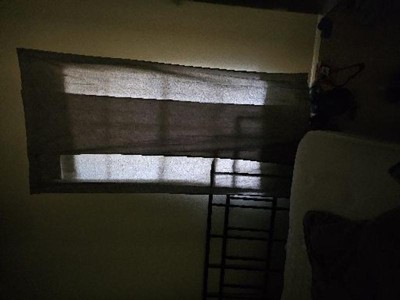 Guest review image 2 of 2, zoom in